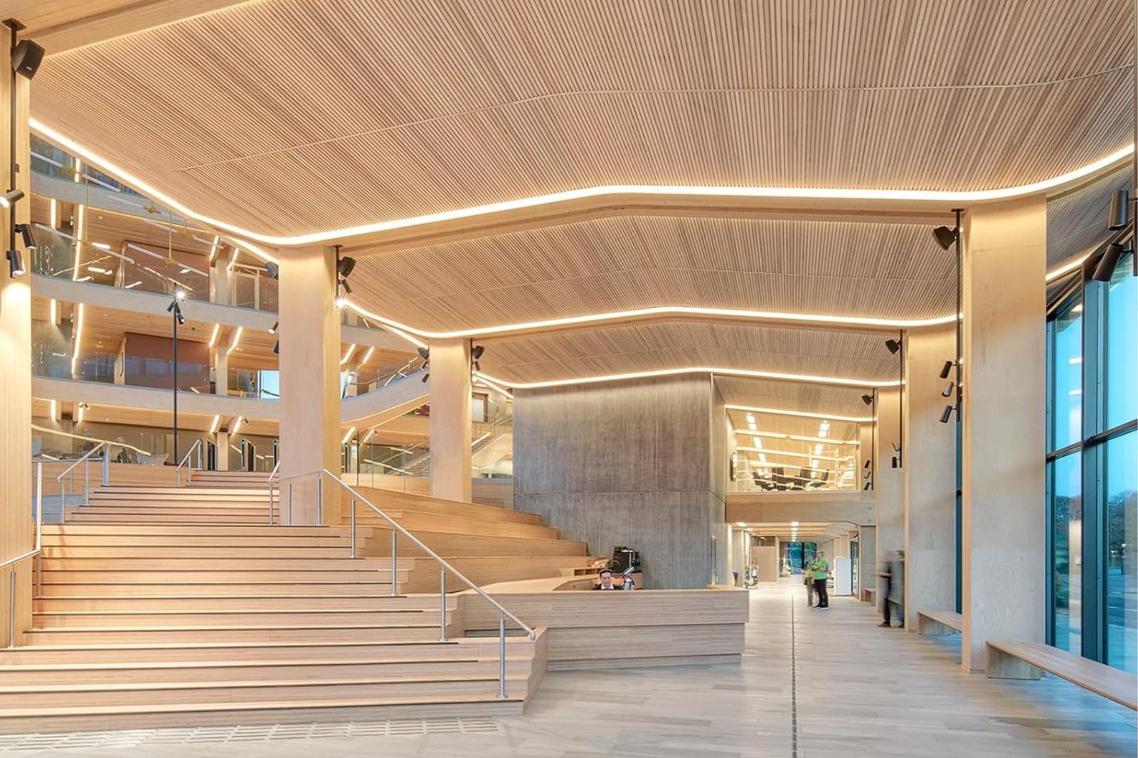 Architectural lighting in a commercial lobby
